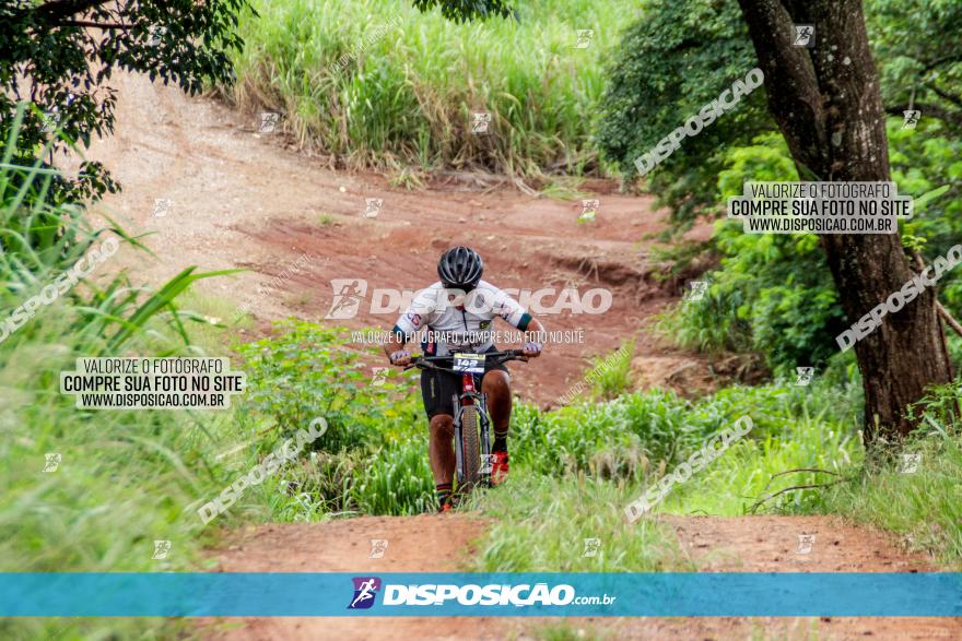 1ª EDIÇÃO DESAFIO ABELHA GRANDE - XCM