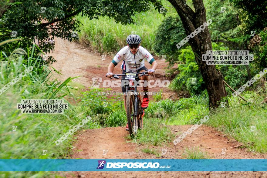 1ª EDIÇÃO DESAFIO ABELHA GRANDE - XCM