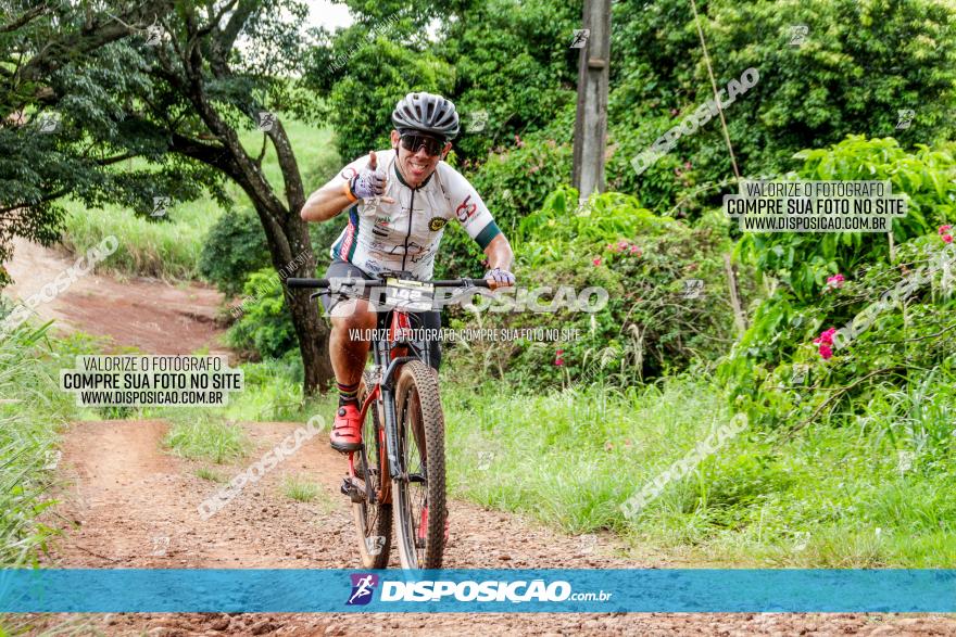 1ª EDIÇÃO DESAFIO ABELHA GRANDE - XCM