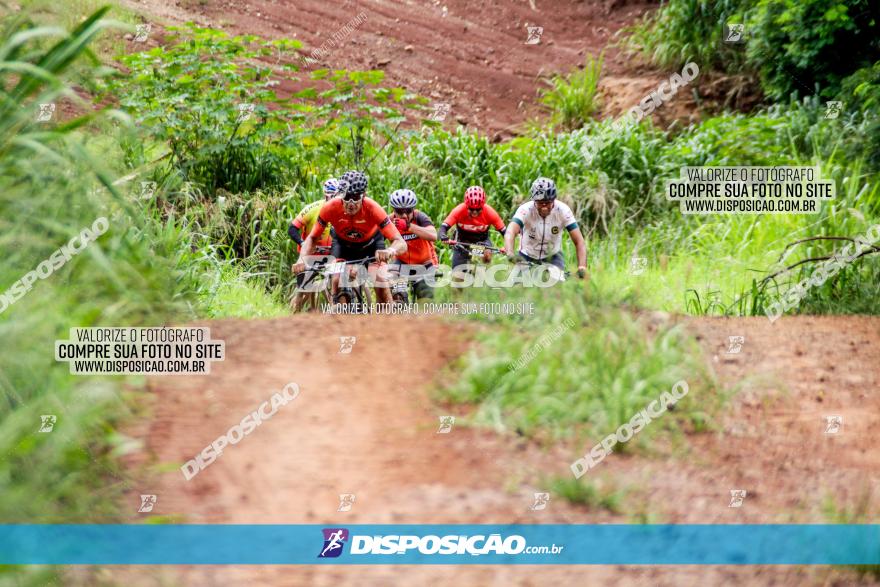 1ª EDIÇÃO DESAFIO ABELHA GRANDE - XCM