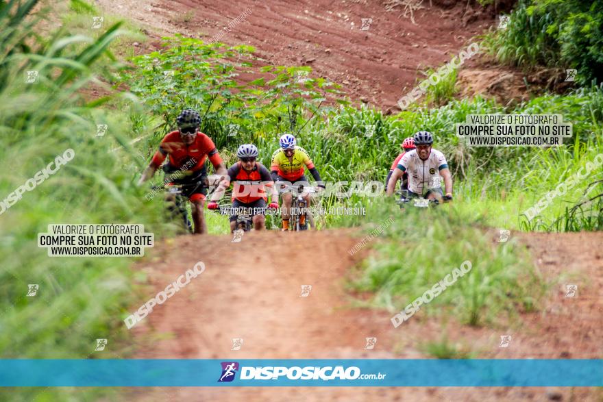 1ª EDIÇÃO DESAFIO ABELHA GRANDE - XCM