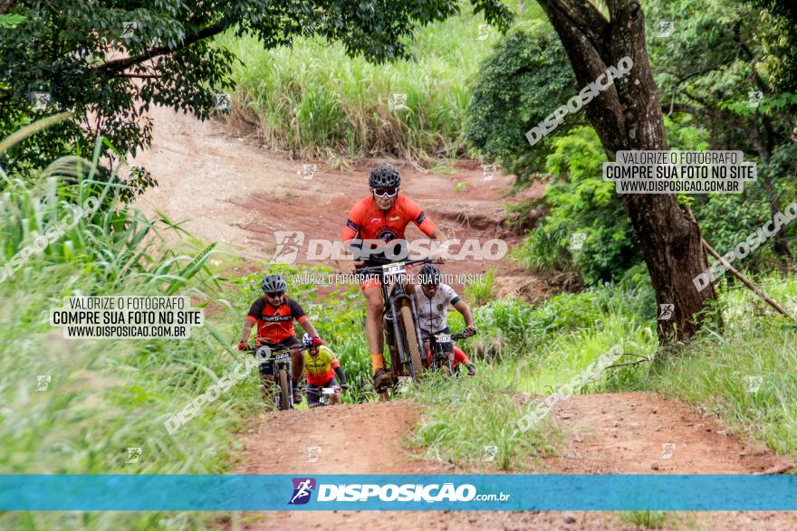 1ª EDIÇÃO DESAFIO ABELHA GRANDE - XCM