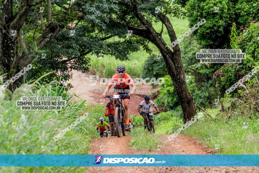 1ª EDIÇÃO DESAFIO ABELHA GRANDE - XCM