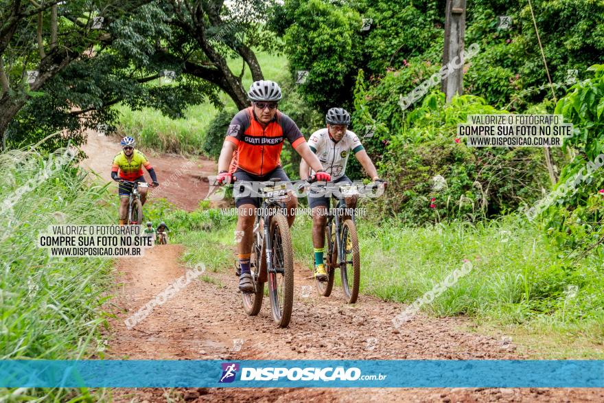 1ª EDIÇÃO DESAFIO ABELHA GRANDE - XCM