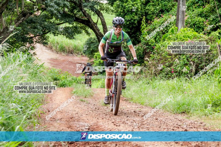 1ª EDIÇÃO DESAFIO ABELHA GRANDE - XCM