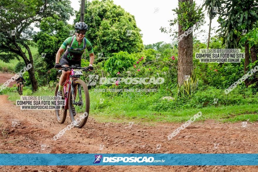 1ª EDIÇÃO DESAFIO ABELHA GRANDE - XCM