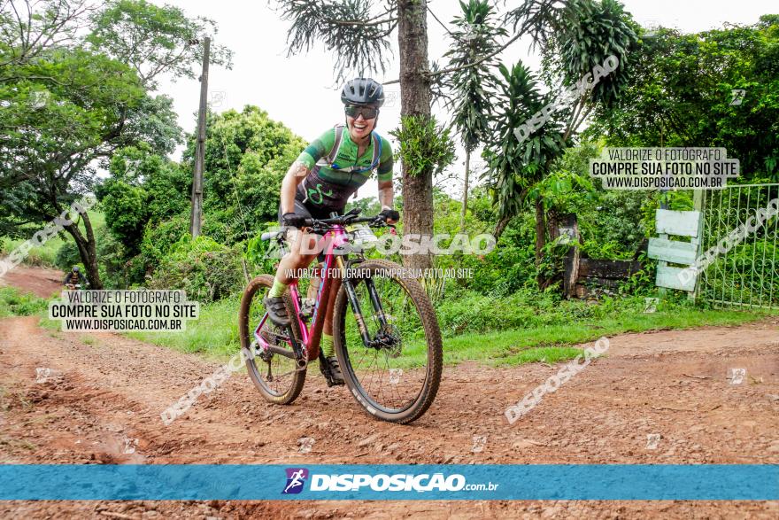 1ª EDIÇÃO DESAFIO ABELHA GRANDE - XCM