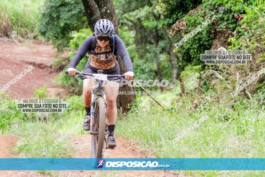 1ª EDIÇÃO DESAFIO ABELHA GRANDE - XCM