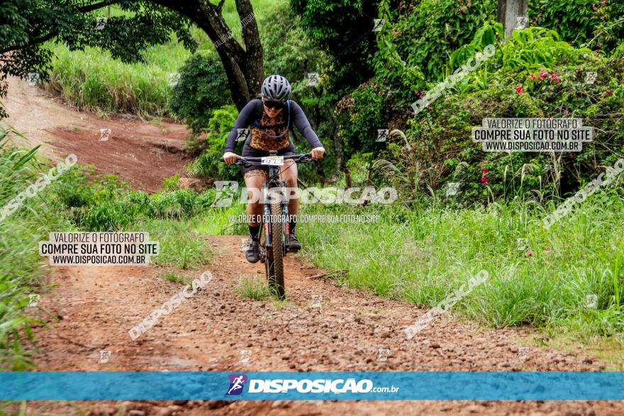 1ª EDIÇÃO DESAFIO ABELHA GRANDE - XCM