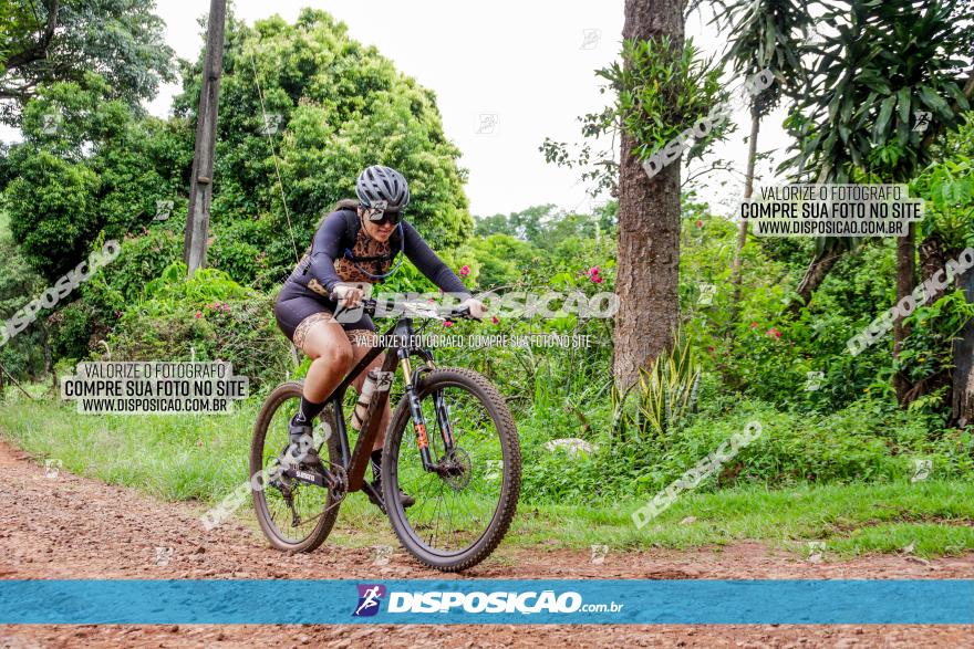 1ª EDIÇÃO DESAFIO ABELHA GRANDE - XCM