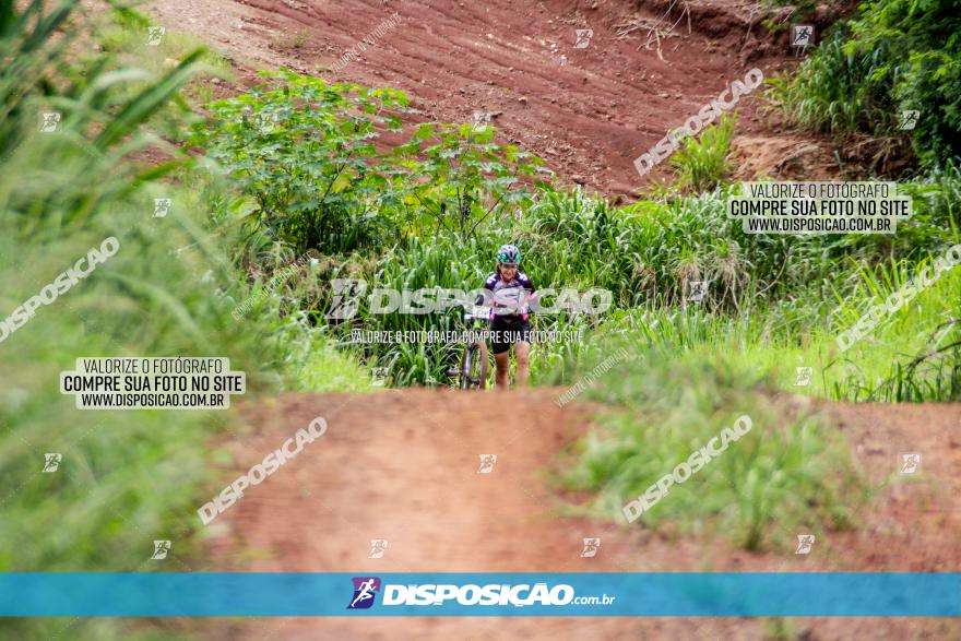 1ª EDIÇÃO DESAFIO ABELHA GRANDE - XCM