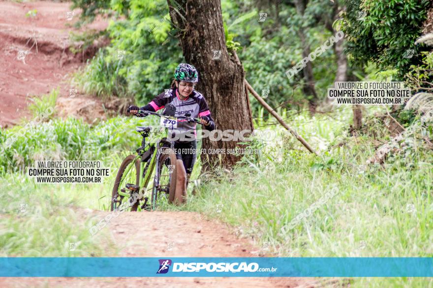 1ª EDIÇÃO DESAFIO ABELHA GRANDE - XCM