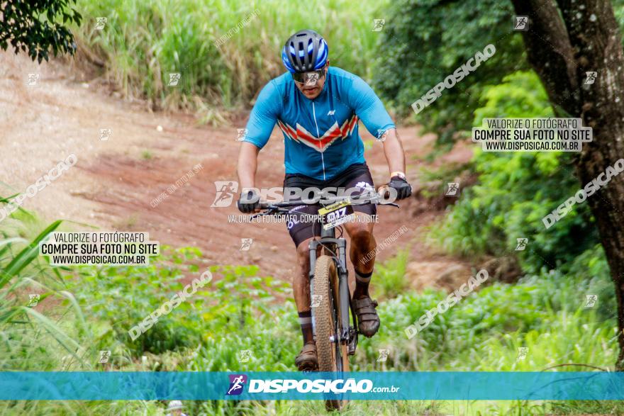 1ª EDIÇÃO DESAFIO ABELHA GRANDE - XCM