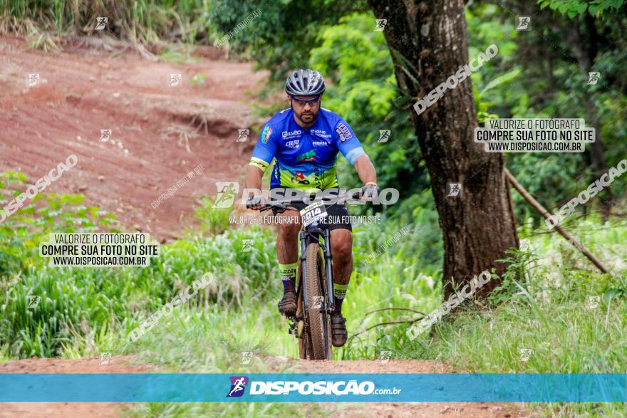 1ª EDIÇÃO DESAFIO ABELHA GRANDE - XCM