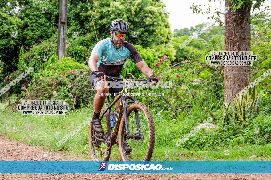 1ª EDIÇÃO DESAFIO ABELHA GRANDE - XCM