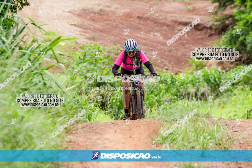 1ª EDIÇÃO DESAFIO ABELHA GRANDE - XCM