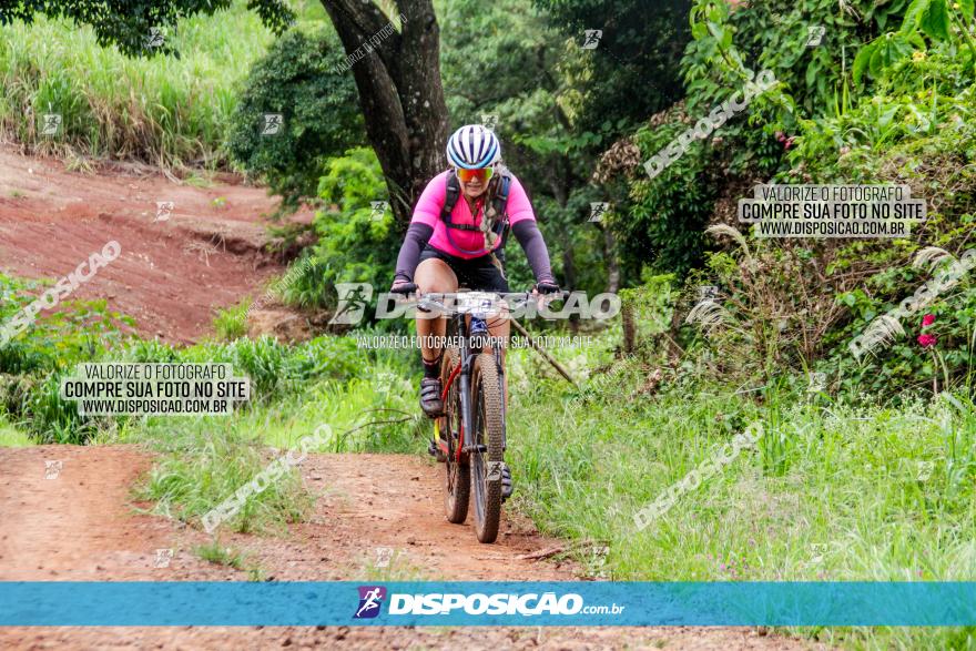 1ª EDIÇÃO DESAFIO ABELHA GRANDE - XCM