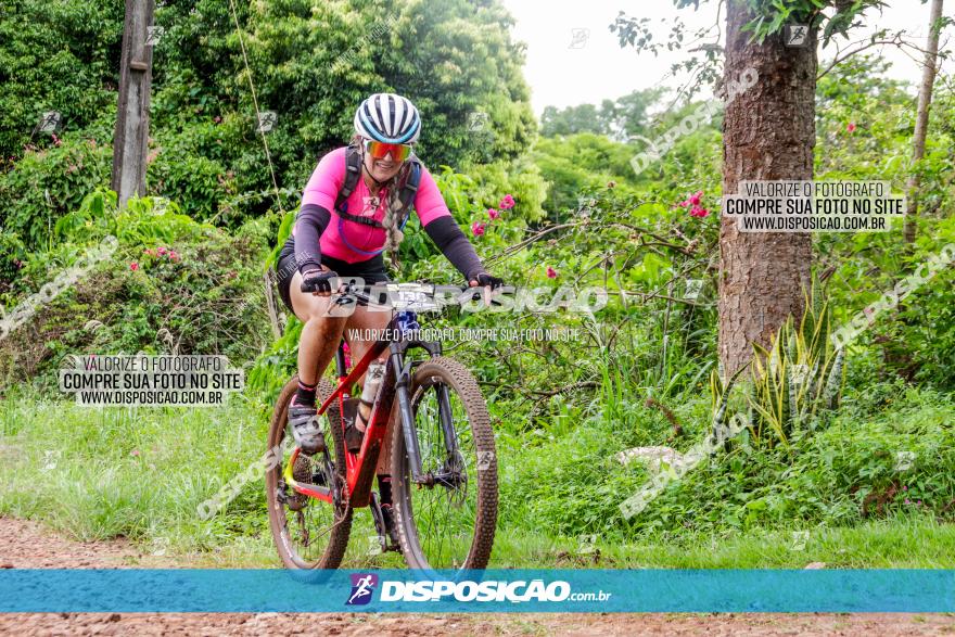 1ª EDIÇÃO DESAFIO ABELHA GRANDE - XCM