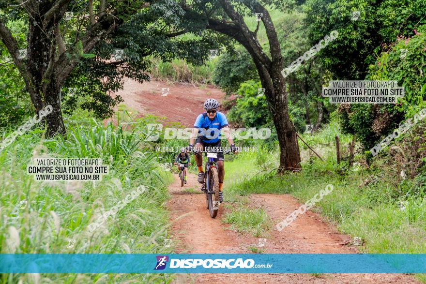 1ª EDIÇÃO DESAFIO ABELHA GRANDE - XCM