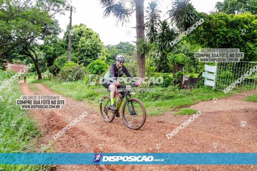 1ª EDIÇÃO DESAFIO ABELHA GRANDE - XCM