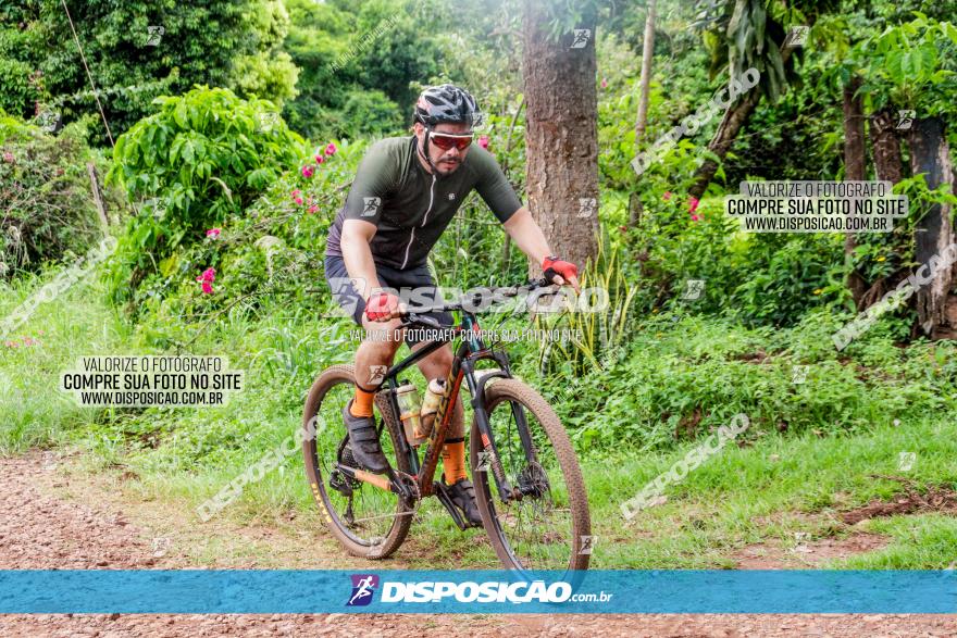 1ª EDIÇÃO DESAFIO ABELHA GRANDE - XCM