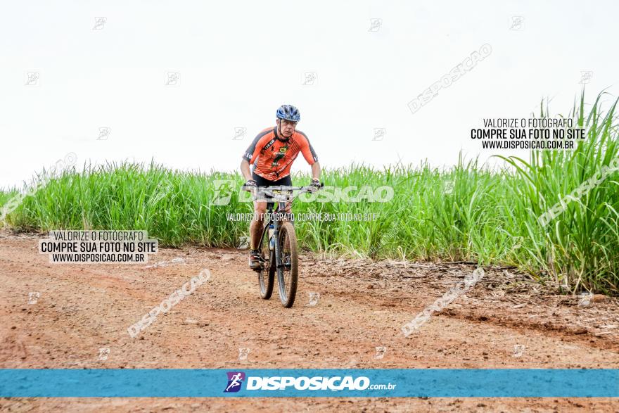 1ª EDIÇÃO DESAFIO ABELHA GRANDE - XCM