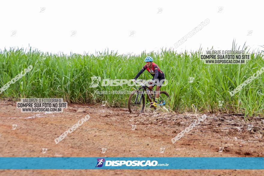 1ª EDIÇÃO DESAFIO ABELHA GRANDE - XCM