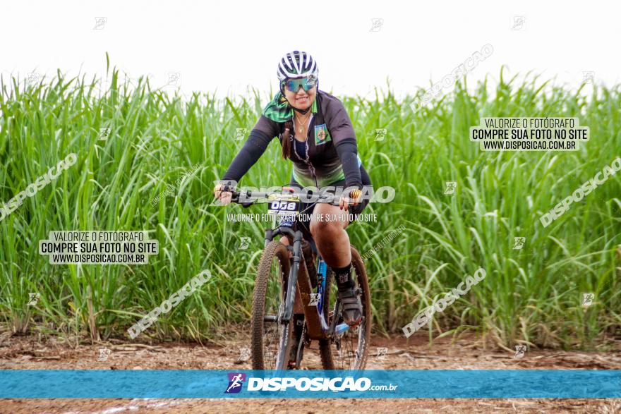 1ª EDIÇÃO DESAFIO ABELHA GRANDE - XCM