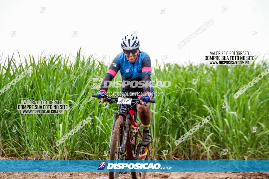 1ª EDIÇÃO DESAFIO ABELHA GRANDE - XCM