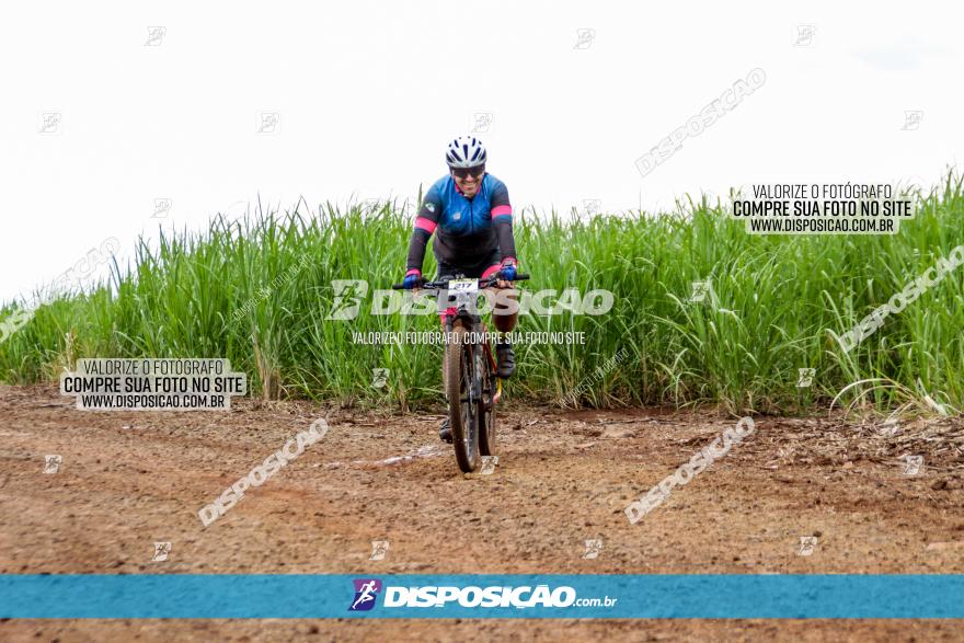 1ª EDIÇÃO DESAFIO ABELHA GRANDE - XCM