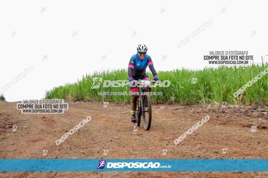 1ª EDIÇÃO DESAFIO ABELHA GRANDE - XCM