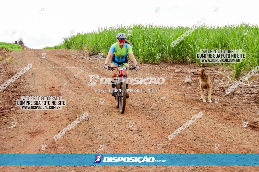 1ª EDIÇÃO DESAFIO ABELHA GRANDE - XCM