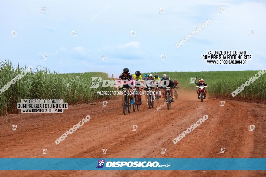 1ª EDIÇÃO DESAFIO ABELHA GRANDE - XCM