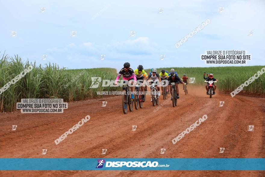 1ª EDIÇÃO DESAFIO ABELHA GRANDE - XCM