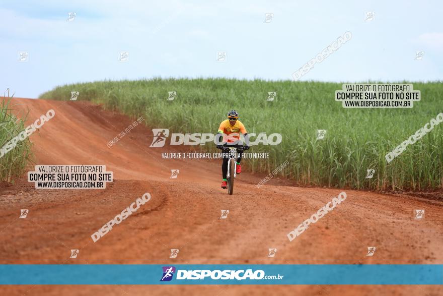 1ª EDIÇÃO DESAFIO ABELHA GRANDE - XCM