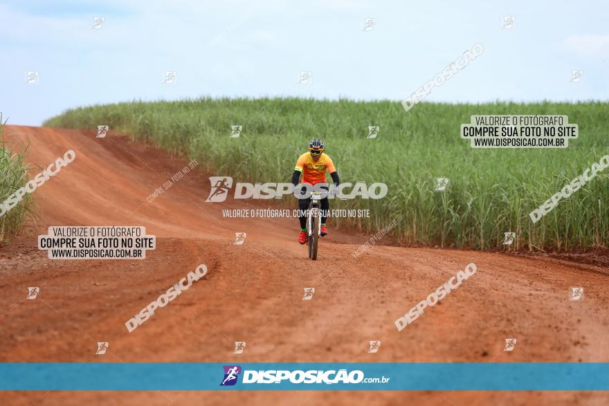 1ª EDIÇÃO DESAFIO ABELHA GRANDE - XCM