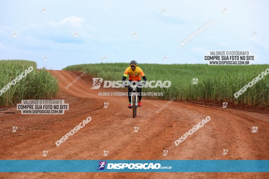 1ª EDIÇÃO DESAFIO ABELHA GRANDE - XCM