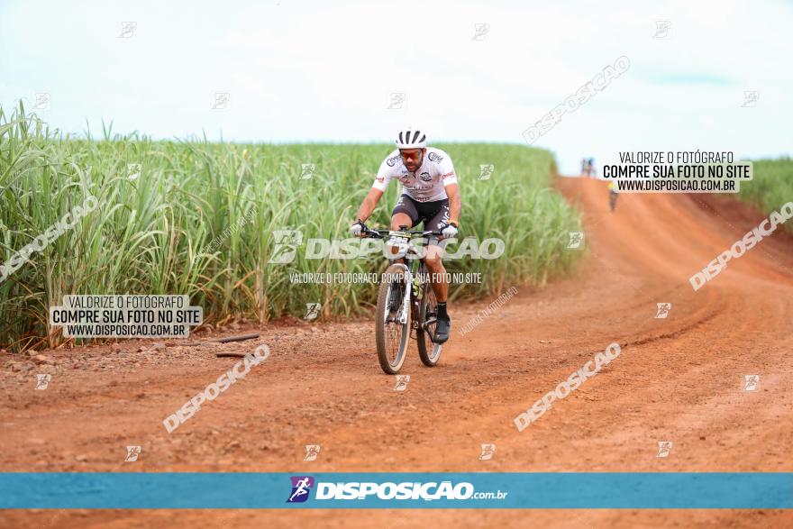 1ª EDIÇÃO DESAFIO ABELHA GRANDE - XCM