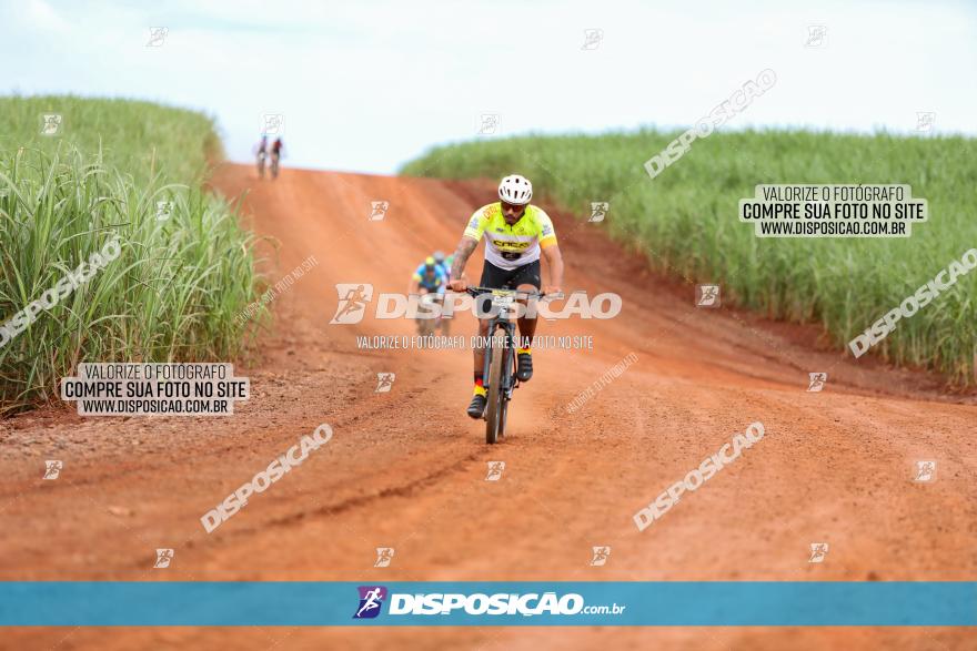 1ª EDIÇÃO DESAFIO ABELHA GRANDE - XCM