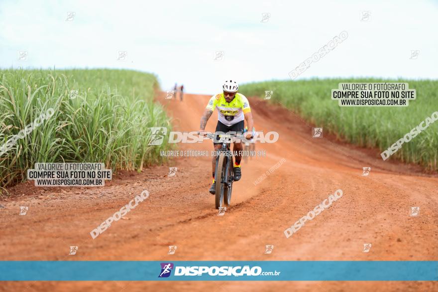 1ª EDIÇÃO DESAFIO ABELHA GRANDE - XCM