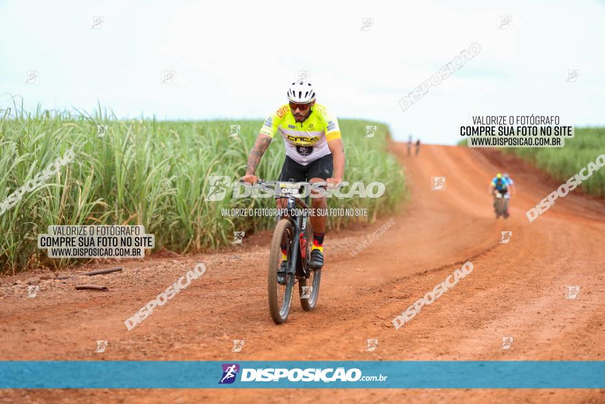 1ª EDIÇÃO DESAFIO ABELHA GRANDE - XCM