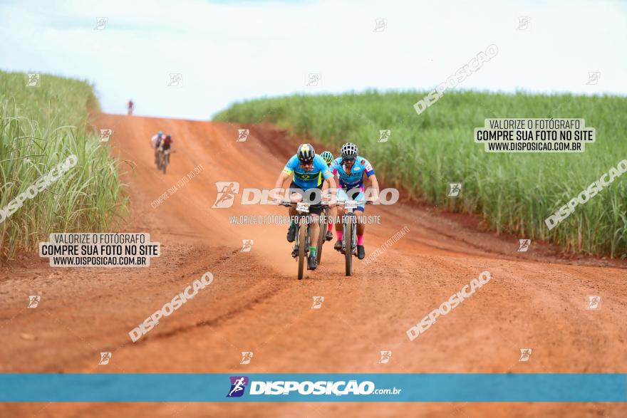 1ª EDIÇÃO DESAFIO ABELHA GRANDE - XCM