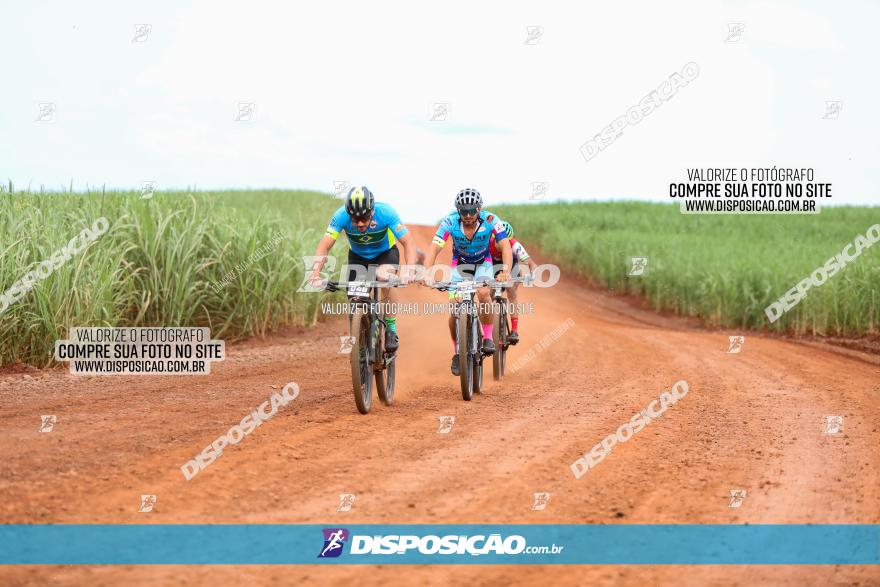 1ª EDIÇÃO DESAFIO ABELHA GRANDE - XCM