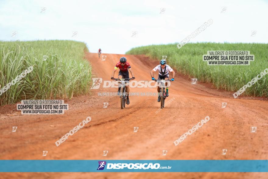 1ª EDIÇÃO DESAFIO ABELHA GRANDE - XCM