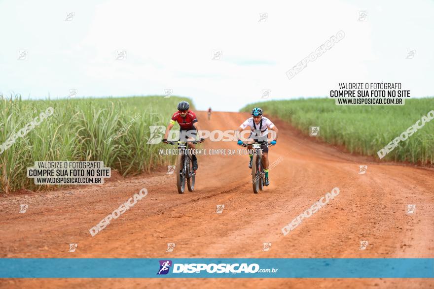 1ª EDIÇÃO DESAFIO ABELHA GRANDE - XCM