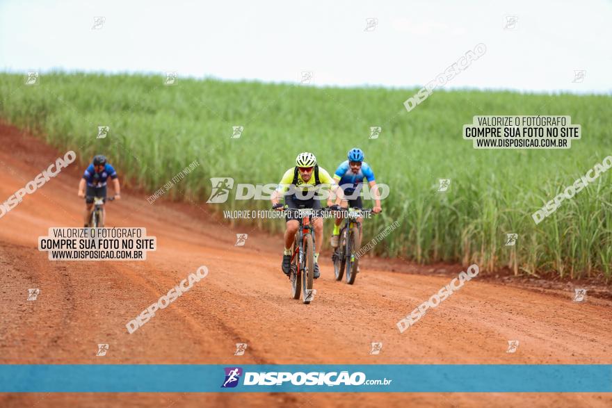 1ª EDIÇÃO DESAFIO ABELHA GRANDE - XCM