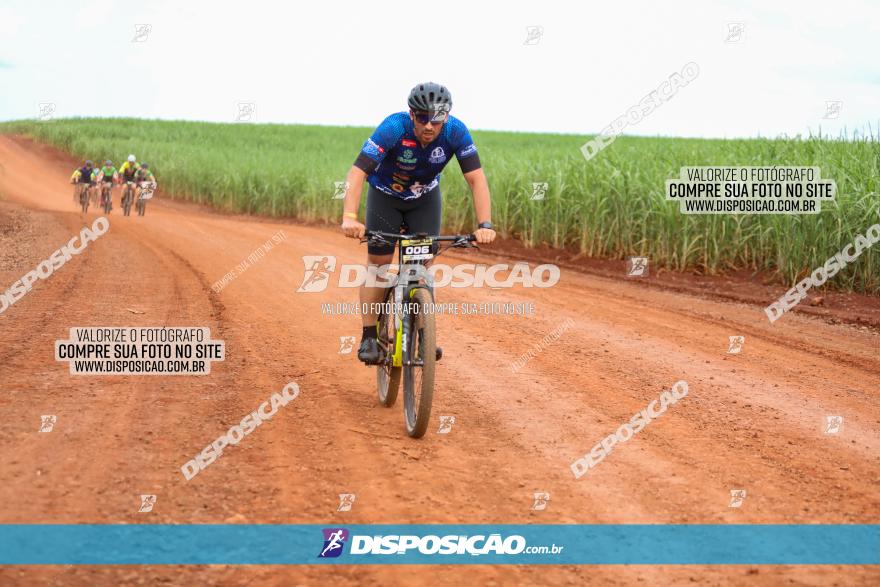 1ª EDIÇÃO DESAFIO ABELHA GRANDE - XCM