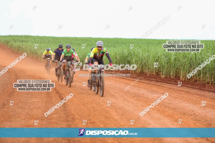 1ª EDIÇÃO DESAFIO ABELHA GRANDE - XCM