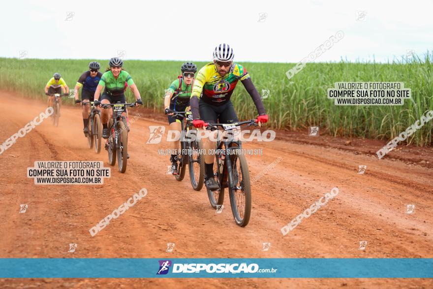 1ª EDIÇÃO DESAFIO ABELHA GRANDE - XCM