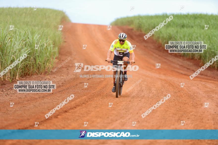 1ª EDIÇÃO DESAFIO ABELHA GRANDE - XCM